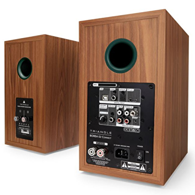 Triangle Borea Connect O2 Green Ash Bluetooth Raf Tipi Hoparlör